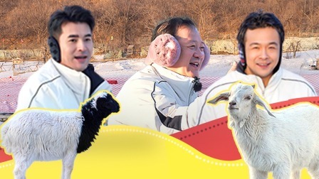 惊叹俱乐部 老铁局：小羊渡劫！哥哥团大闹动物园
