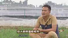 致富经 [致富经]狂人的财富呱呱叫 20160905