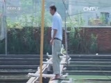 生财有道 《生财有道》 20150722 回乡只为养金鱼