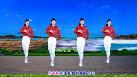 流行DJ广场舞及教学 第三季 走心DJ广场舞《碎银几两》动感32步教学