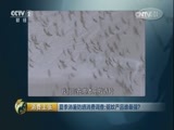 消费主张 《消费主张》 20170623 夏季消暑防晒消费调查：驱蚊产品谁最强？