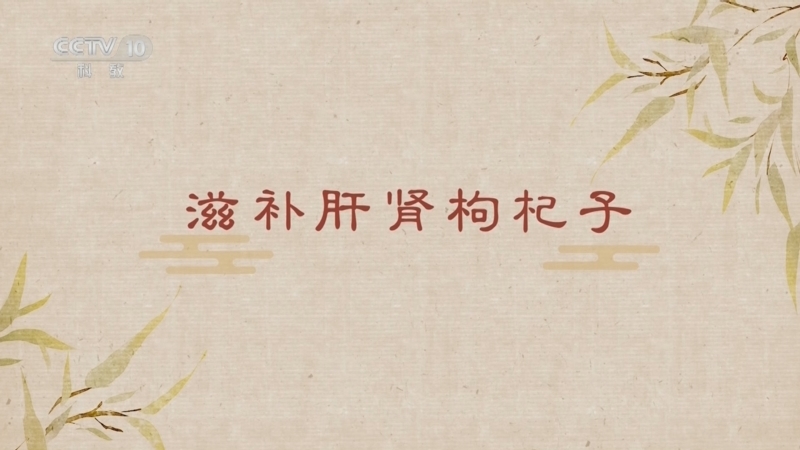 《百家讲坛》 20260206 舌尖上的养生（第三部） 17 滋补肝肾枸杞子