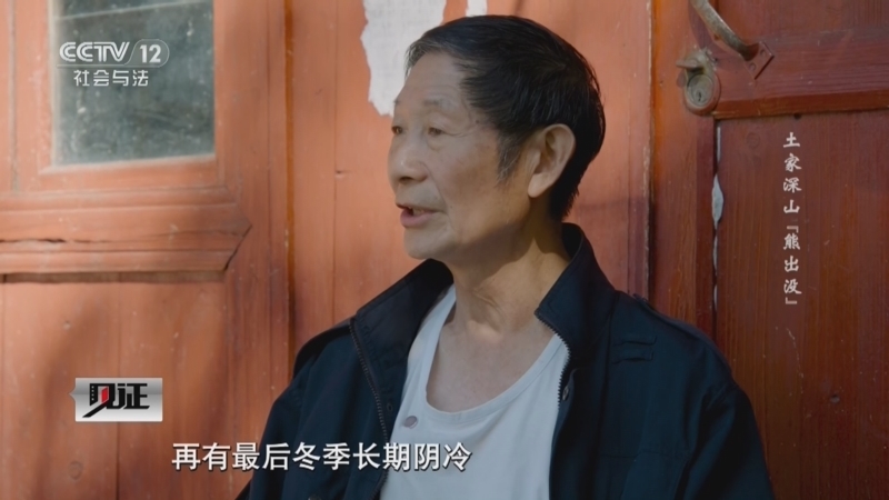 见证 《见证》 20241006 土家深山“熊出没”