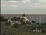 动物世界 《动物世界》 20120929