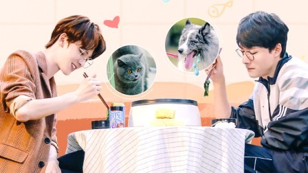 剑正兄弟吃播馋哭萌宠