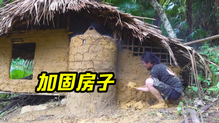 原始丛林人苏门答腊 第二季 东南亚丛林生存，庇护所加固完成，再也不怕刮风下雨了