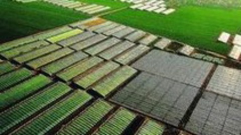 天生我财 最有料的躁动 芭田股份