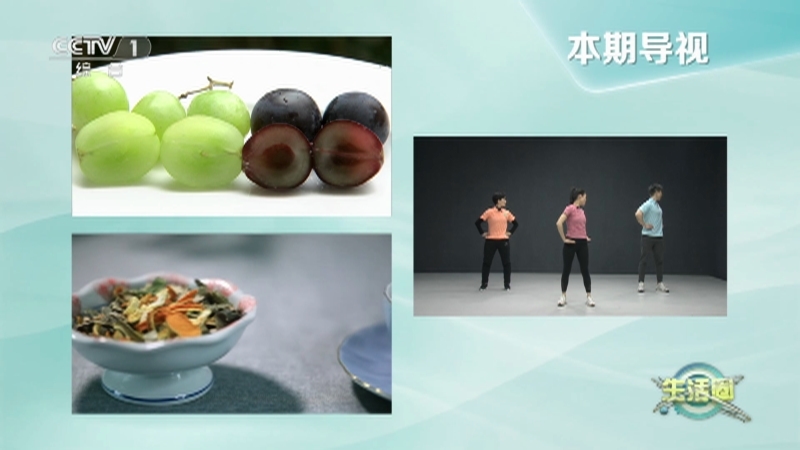 生活圈 《生活圈》 20230412