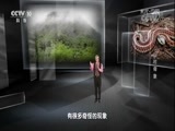 地理中国 《地理中国》 20180417 地球日特别节目·山村奇象