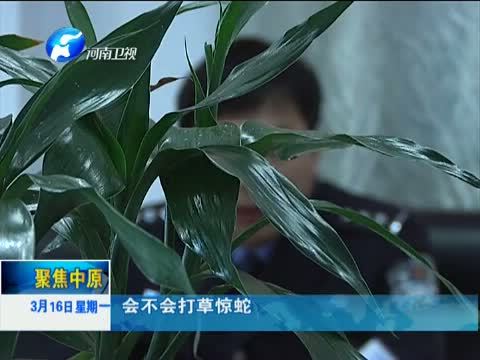 聚焦中原 《聚焦中原》 20150316 扫毒