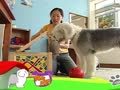狗狗日记 第188天 搬家大扫除
