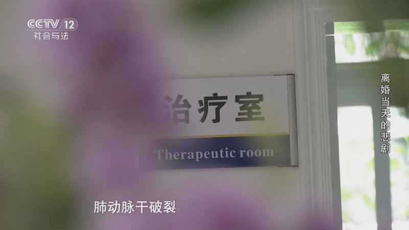 《从心开始》 20260329 离婚当天的悲剧