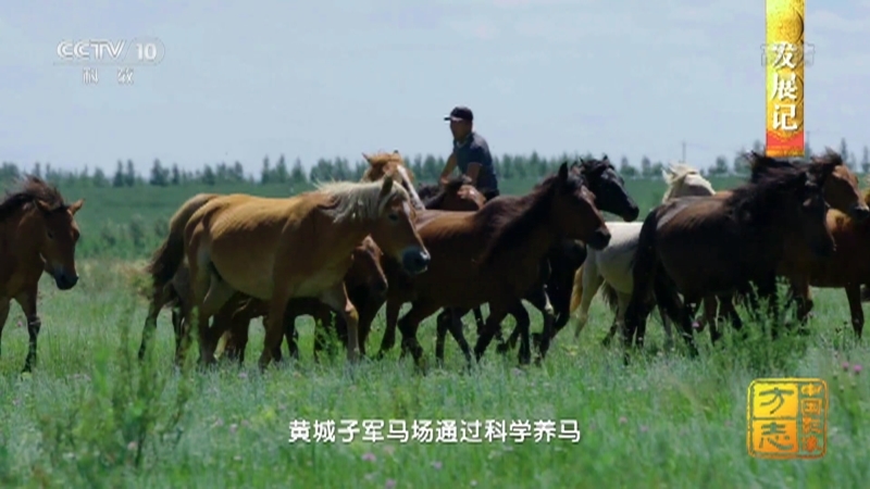 《中国影像方志》 第764集 河北康保篇
