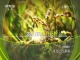 地理中国 《地理中国》 20161216 鸡冠山的奥秘