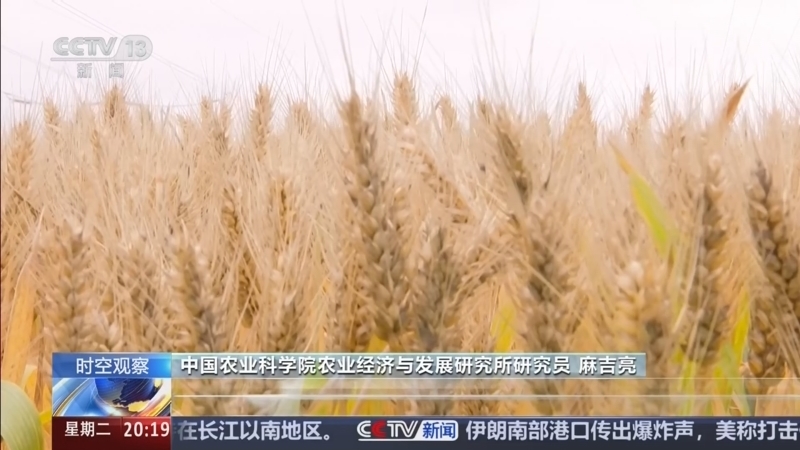 东方时空 《东方时空》 20260526