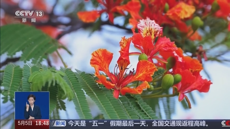 《共同关注》 20260505