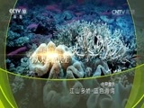 地理中国 《地理中国》 20160815 江山多娇·蓝色海湾