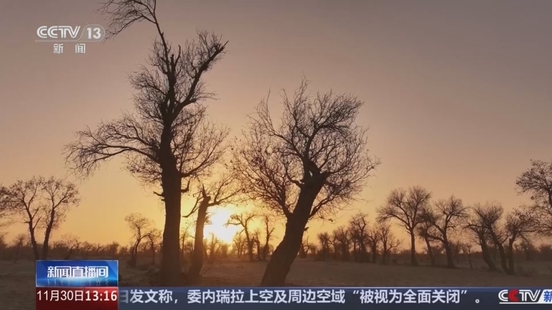 新闻直播间 《新闻直播间》 20251130 13:00