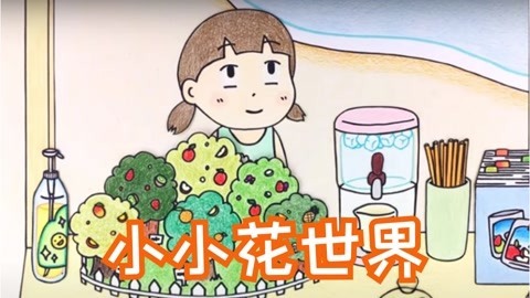 小小花世界