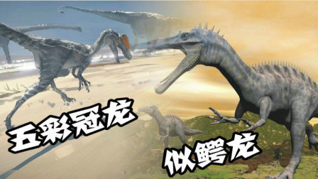 似鳄龙VS五彩冠龙 26