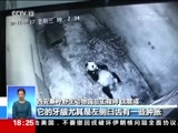 共同关注 《共同关注》 20171011