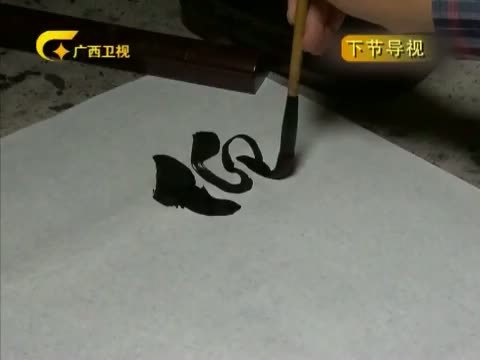走南闯北广西人 《走南闯北广西人》 20140117 科技骄子——郑志鹏
