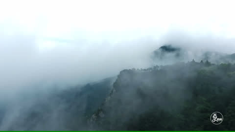 更杭州 最奇特的画家只画正面肖像