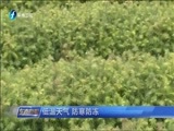 东南晚报 《东南晚报》 20161215
