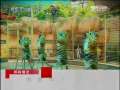 走近科学 海狮牛了