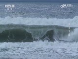 地理中国 《地理中国》 20170313 海岛天堂