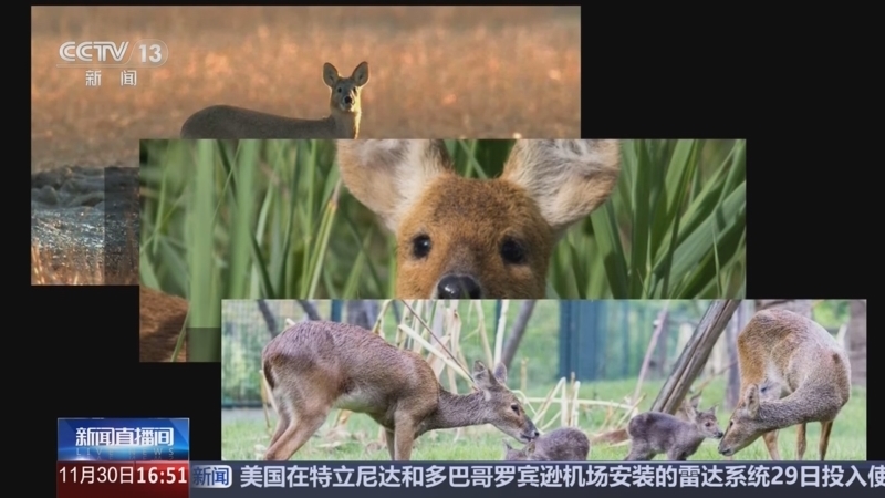 新闻直播间 《新闻直播间》 20251130 16:00