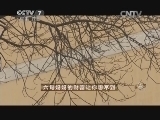 致富经 《致富经》 20150206 六旬妈妈的财富让你想不到