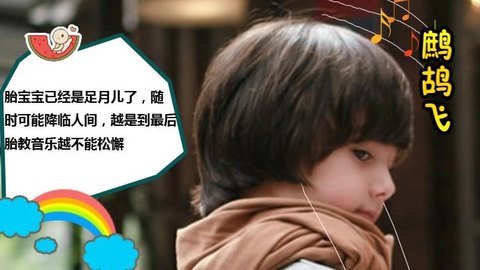 胎教音乐 第37周 鹧鸪飞