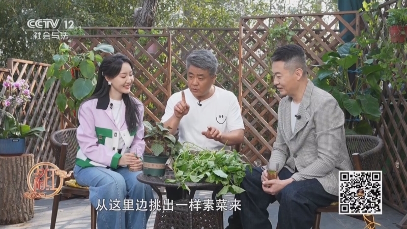 夕阳红 《夕阳红》 20250909 食养·药膳同源（3）