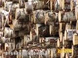 远方的家 《远方的家》 一带一路（380）俄罗斯 下诺夫哥罗德的中国故事 20180619