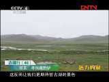 远方的家 《边疆行》第46集 寻找藏野驴《远方的家》20110912