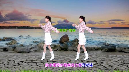 简单入门广场舞《两只船》动感16步附教学