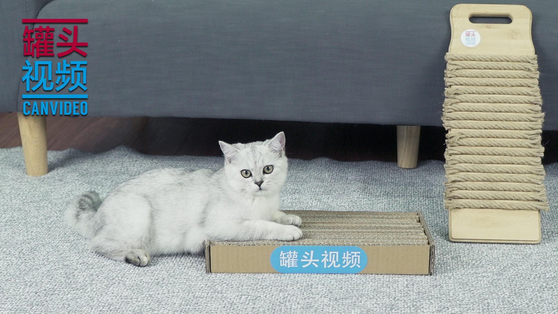 举起爪儿来 居家小物秒变猫抓板【举起爪儿来】