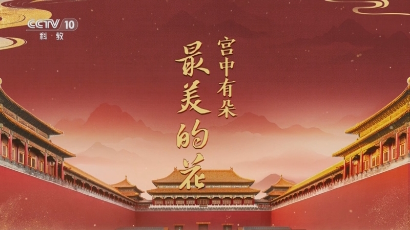 百家讲坛 《百家讲坛》 20251015 探秘紫禁城 6 宫中有朵最美的花