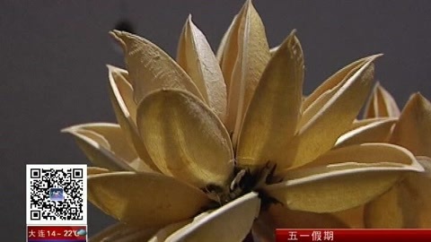 城市直通车 大连最美赏花处 你肯定没去过