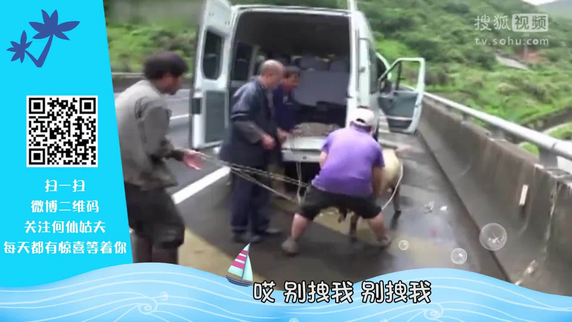 囧闻一箩筐 国庆遇堵车  他们竟在高速办起奥运【囧闻一箩筐】