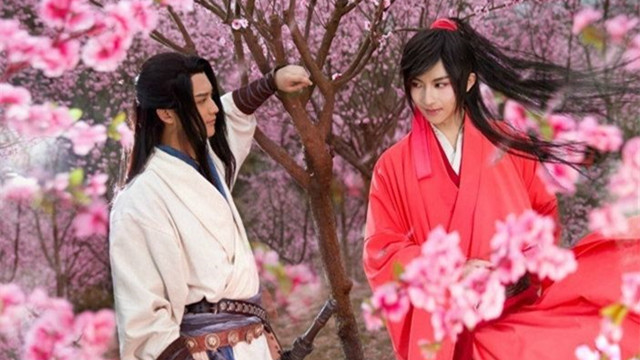 逐浪飞花之武林外史