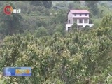重庆新闻联播 《重庆新闻联播》 20170514
