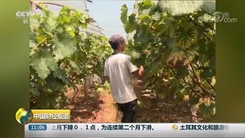 中国财经报道 《中国财经报道》 20180831 11:00
