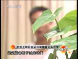 道德观察 道德观察（日播版） 2010年 第268期 以爱的名义