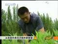 致富经 致富经 2009年 第171期
