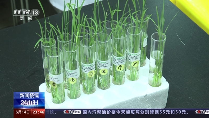 24小时 《24小时》 20230614