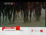 百家讲坛 郦波：抗倭英雄戚继光（一）一鸣惊人