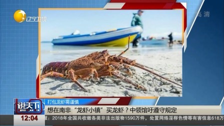 说天下 想在南非“龙虾小镇”买龙虾？中领馆吁遵守规定