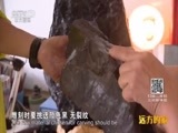 远方的家 《远方的家》长城内外 第5集 辽东明珠 抚顺 20151002